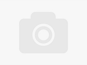 Thẻ HF RFID ( HF hard tag ) Avery Dennison Eartrace® Male Flag