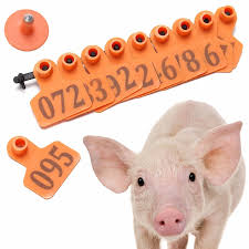 Mô hình ứng dụng RFID UHF vào quản lý chăn nuôi lợn và hỗ trợ truy nguyên nguồn gốc thịt lợn