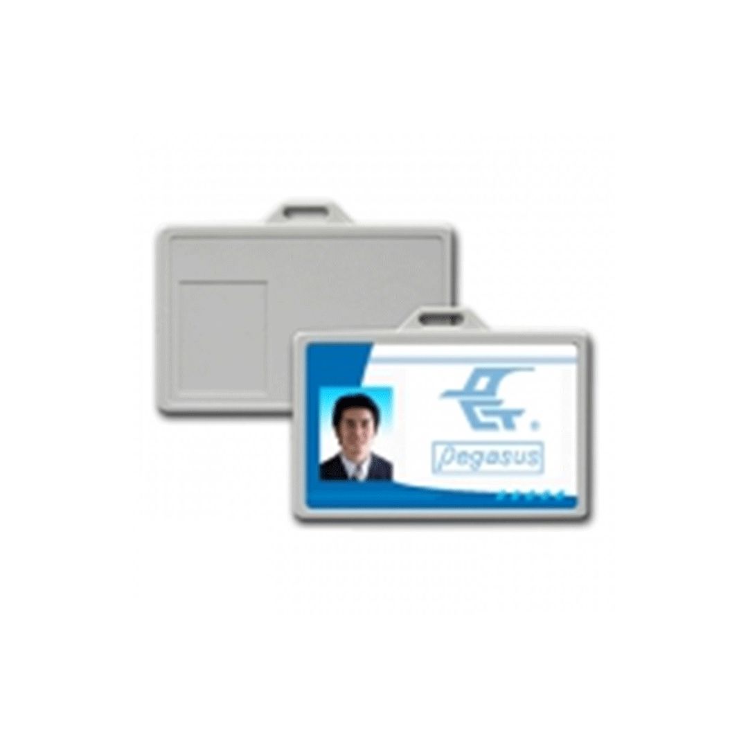RFID Hand Free active card Pegasus PFH-620