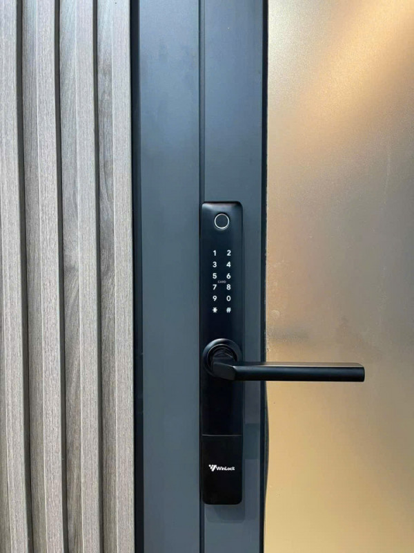 Khóa cửa vân tay thẻ từ WINLOCK TT-330A